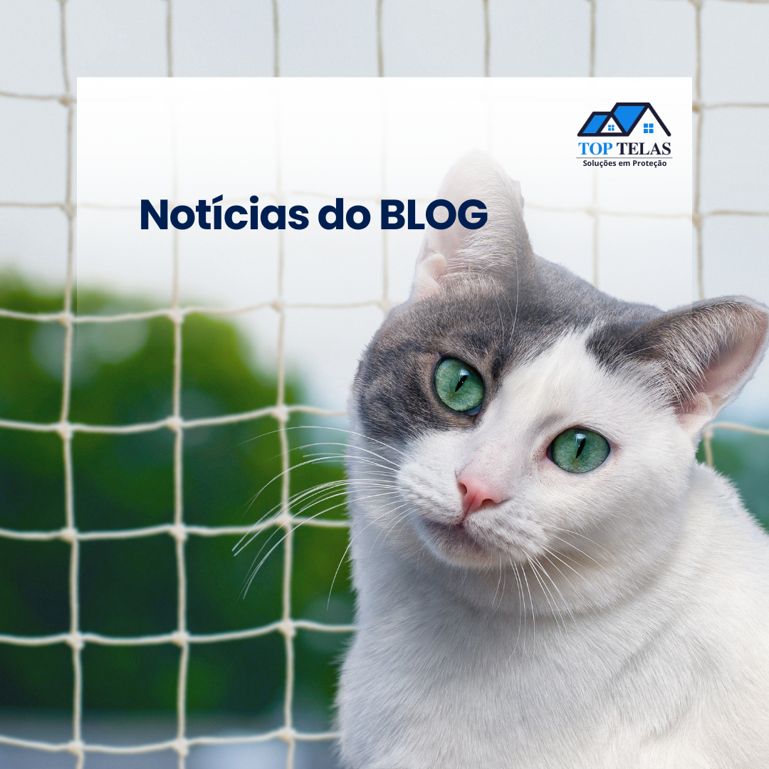 capa de notícias tp telas