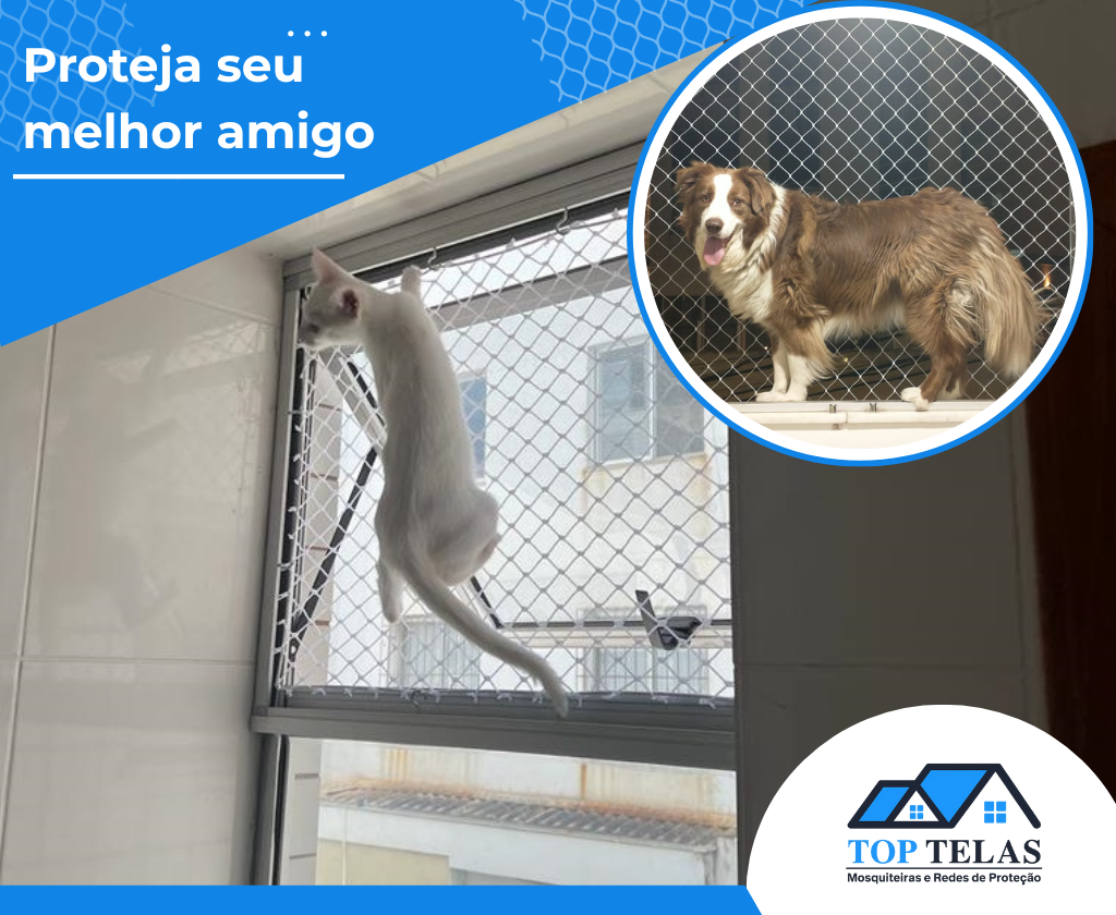 Gato e cachorro apoiados em rede de proteção para janela — segurança para pets em apartamento em Belo Horizonte