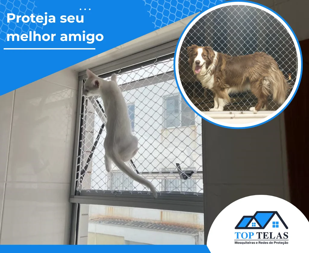 Gato e cachorro apoiados em rede de proteção para janela — segurança para pets em apartamento em Belo Horizonte